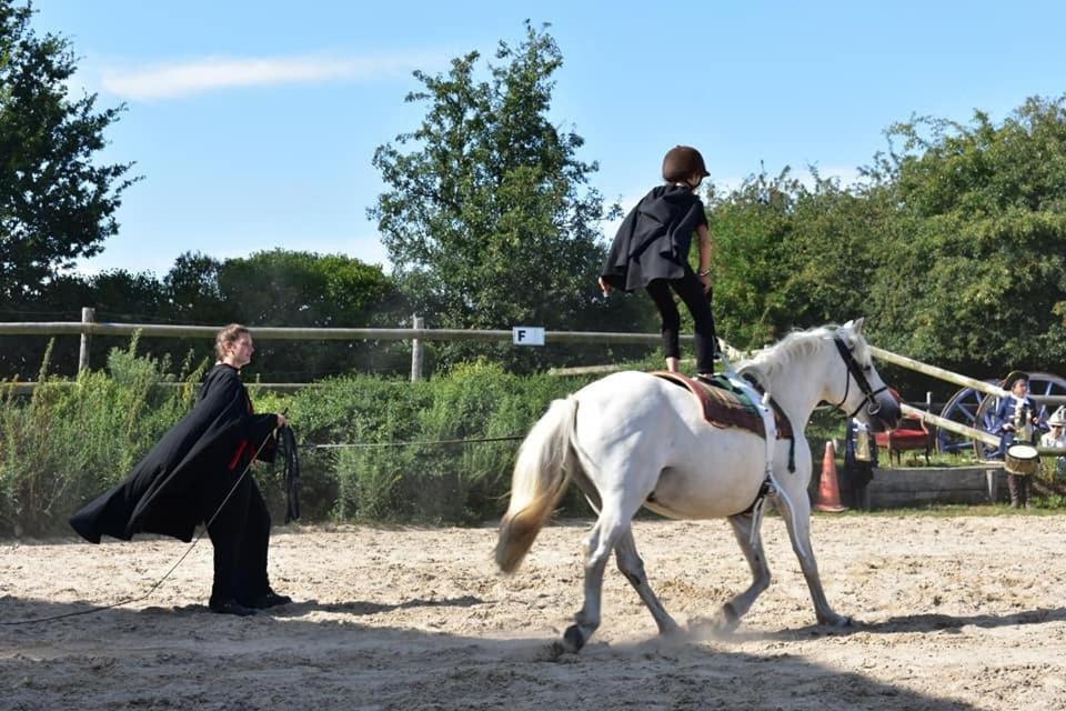 Ecuries Leseigneur - Camping Insolites Bolleville  Екстер'єр фото