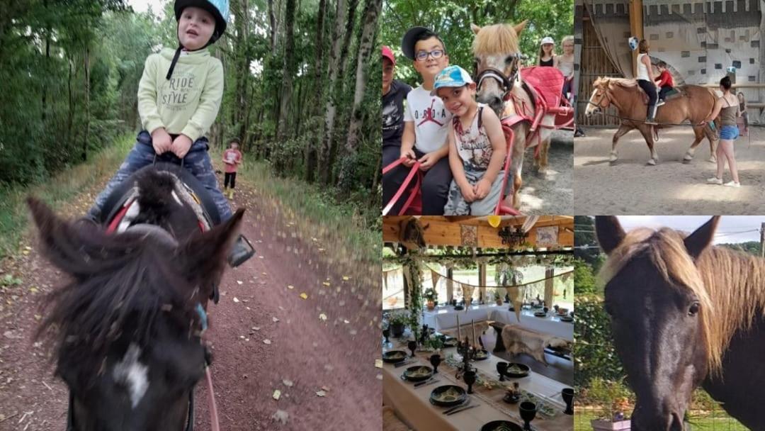 Ecuries Leseigneur - Camping Insolites Bolleville  Екстер'єр фото